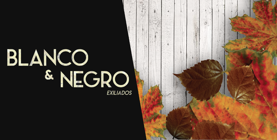 Presentación del libro "Blanco y Negro